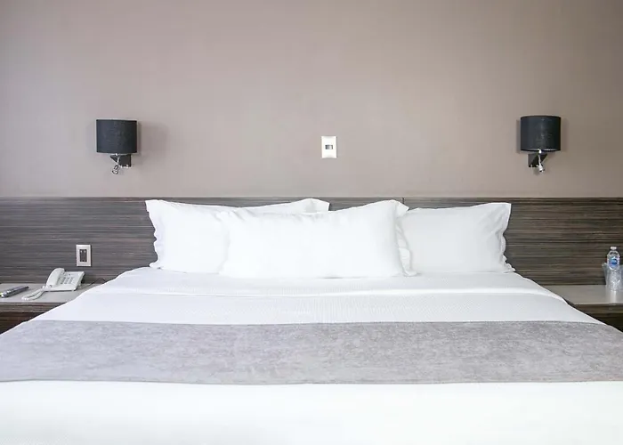 Hotel Brasilia México DF